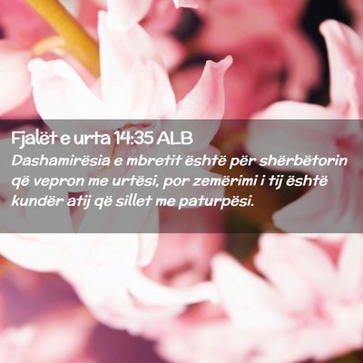 Picture 02 - Fjalët e urta 14:35 ALB - Dashamirësia e mbretit është për - Bible Verse Picture