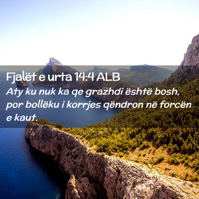 Picture 02 - Fjalët e urta 14:4 ALB - Aty ku nuk ka qe grazhdi është bosh, por - Bible Verse Picture