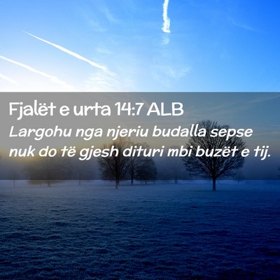 Picture 02 - Fjalët e urta 14:7 ALB - Largohu nga njeriu budalla sepse nuk do të gjesh - Bible Verse Picture