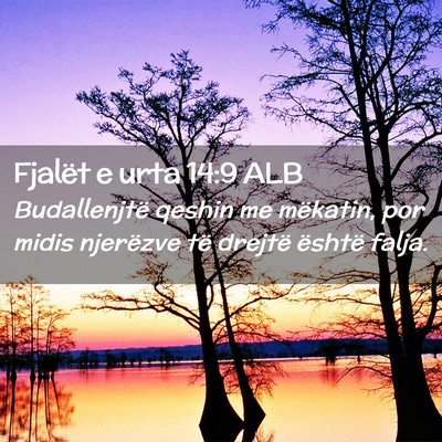 Picture 02 - Fjalët e urta 14:9 ALB - Budallenjtë qeshin me mëkatin, por midis - Bible Verse Picture