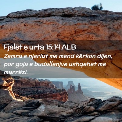 Picture 02 - Fjalët e urta 15:14 ALB - Zemra e njeriut me mend kërkon dijen, por goja e - Bible Verse Picture