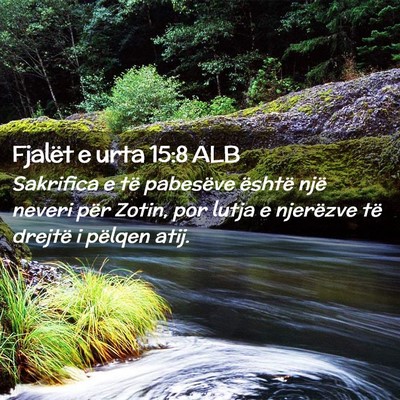 Picture 02 - Fjalët e urta 15:8 ALB - Sakrifica e të pabesëve është një neveri - Bible Verse Picture