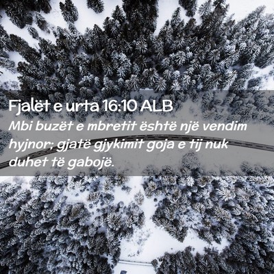 Picture 02 - Fjalët e urta 16:10 ALB - Mbi buzët e mbretit është një vendim hyjnor; - Bible Verse Picture