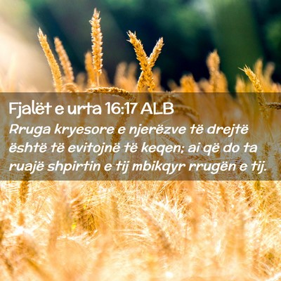 Picture 02 - Fjalët e urta 16:17 ALB - Rruga kryesore e njerëzve të drejtë është - Bible Verse Picture