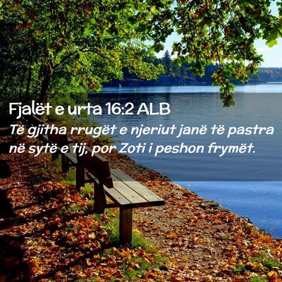 Picture 02 - Fjalët e urta 16:2 ALB - Të gjitha rrugët e njeriut janë të pastra në - Bible Verse Picture