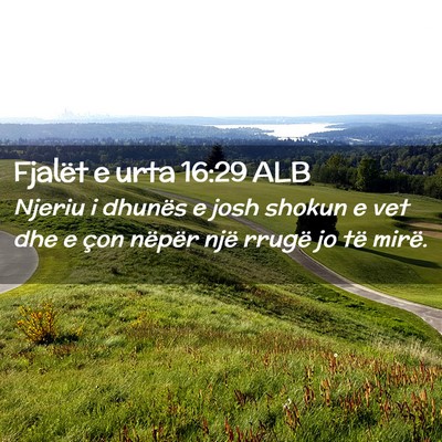 Picture 02 - Fjalët e urta 16:29 ALB - Njeriu i dhunës e josh shokun e vet dhe e çon - Bible Verse Picture