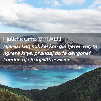 Picture 02 - Fjalët e urta 17:11 ALB - Njeriu i keq nuk kërkon gjë tjetër veç të - Bible Verse Picture