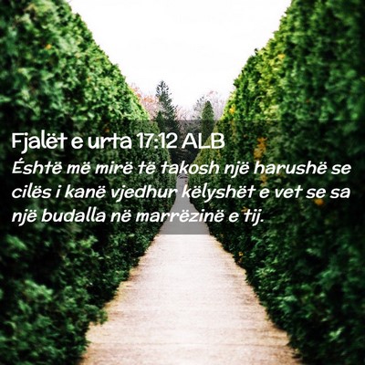 Picture 02 - Fjalët e urta 17:12 ALB - Éshtë më mirë të takosh një harushë se - Bible Verse Picture