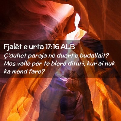 Picture 02 - Fjalët e urta 17:16 ALB - Ç’duhet paraja në duart e budallait? Mos - Bible Verse Picture