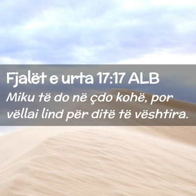 Picture 02 - Fjalët e urta 17:17 ALB - Miku të do në çdo kohë, por vëllai lind për - Bible Verse Picture