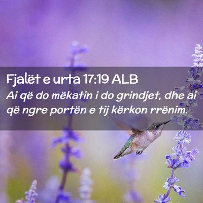 Picture 02 - Fjalët e urta 17:19 ALB - Ai që do mëkatin i do grindjet, dhe ai që ngre - Bible Verse Picture