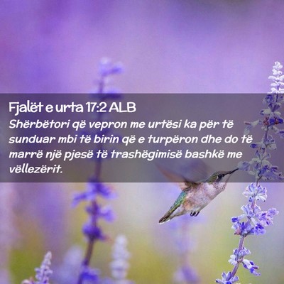 Picture 02 - Fjalët e urta 17:2 ALB - Shërbëtori që vepron me urtësi ka për të - Bible Verse Picture