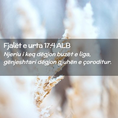Picture 02 - Fjalët e urta 17:4 ALB - Njeriu i keq dëgjon buzët e liga, gënjeshtari - Bible Verse Picture