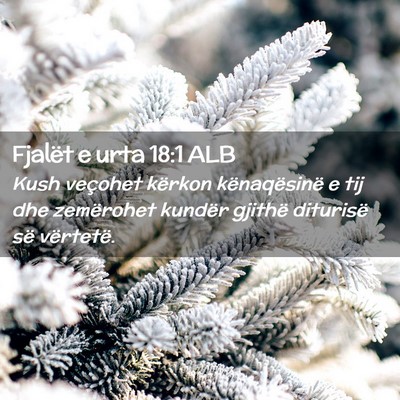 Picture 02 - Fjalët e urta 18:1 ALB - Kush veçohet kërkon kënaqësinë e tij dhe - Bible Verse Picture