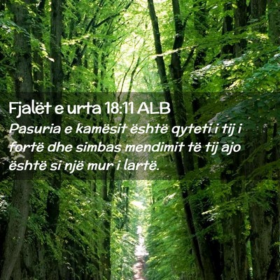 Picture 02 - Fjalët e urta 18:11 ALB - Pasuria e kamësit është qyteti i tij i fortë - Bible Verse Picture