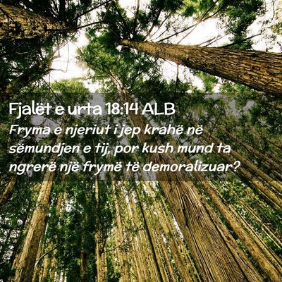 Picture 02 - Fjalët e urta 18:14 ALB - Fryma e njeriut i jep krahë në sëmundjen e - Bible Verse Picture