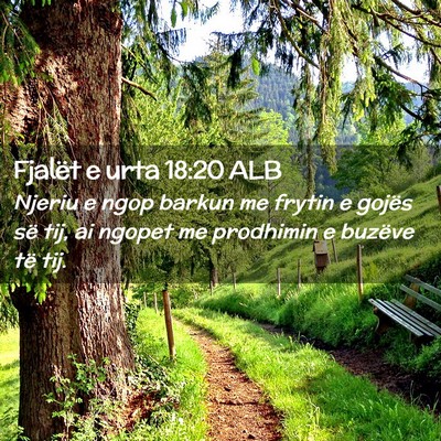 Picture 02 - Fjalët e urta 18:20 ALB - Njeriu e ngop barkun me frytin e gojës së tij, - Bible Verse Picture