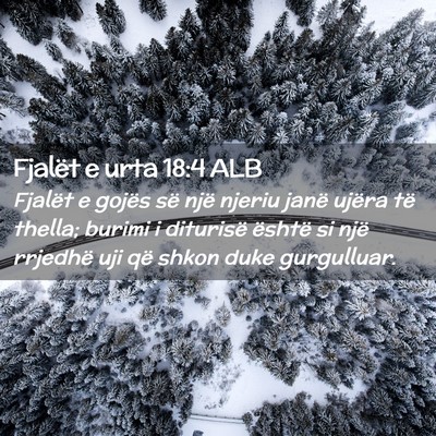 Picture 02 - Fjalët e urta 18:4 ALB - Fjalët e gojës së një njeriu janë ujëra të - Bible Verse Picture