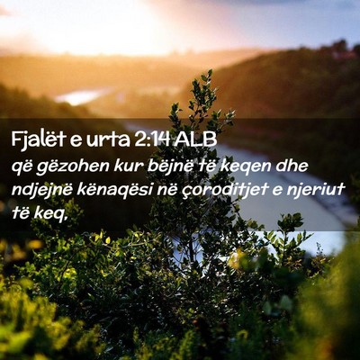 Picture 02 - Fjalët e urta 2:14 ALB - që gëzohen kur bëjnë të keqen dhe ndjejnë - Bible Verse Picture