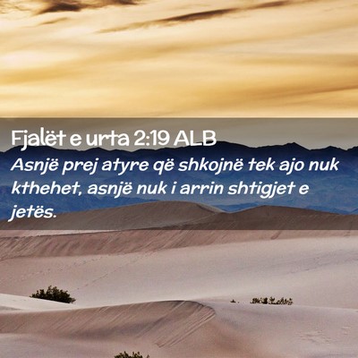 Picture 02 - Fjalët e urta 2:19 ALB - Asnjë prej atyre që shkojnë tek ajo nuk - Bible Verse Picture