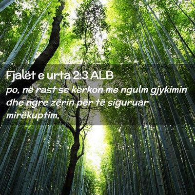 Picture 02 - Fjalët e urta 2:3 ALB - po, në rast se kërkon me ngulm gjykimin dhe - Bible Verse Picture