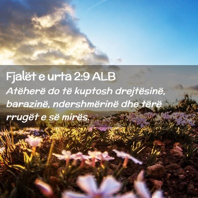 Picture 02 - Fjalët e urta 2:9 ALB - Atëherë do të kuptosh drejtësinë, barazinë, - Bible Verse Picture