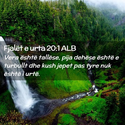 Picture 02 - Fjalët e urta 20:1 ALB - Vera është tallëse, pija dehëse është e - Bible Verse Picture