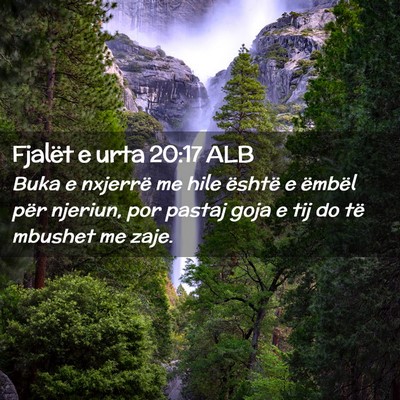 Picture 02 - Fjalët e urta 20:17 ALB - Buka e nxjerrë me hile është e ëmbël për - Bible Verse Picture
