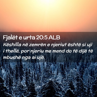 Picture 02 - Fjalët e urta 20:5 ALB - Këshilla në zemrën e njeriut është si uji i - Bible Verse Picture