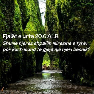 Picture 02 - Fjalët e urta 20:6 ALB - Shumë njerëz shpallin mirësinë e tyre; por - Bible Verse Picture