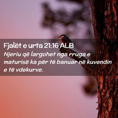 Picture 02 - Fjalët e urta 21:16 ALB - Njeriu që largohet nga rruga e maturisë ka për - Bible Verse Picture