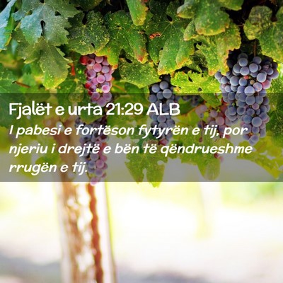 Picture 02 - Fjalët e urta 21:29 ALB - I pabesi e fortëson fytyrën e tij, por njeriu i - Bible Verse Picture