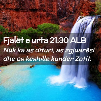 Picture 02 - Fjalët e urta 21:30 ALB - Nuk ka as dituri, as zgjuarësi dhe as këshillë - Bible Verse Picture