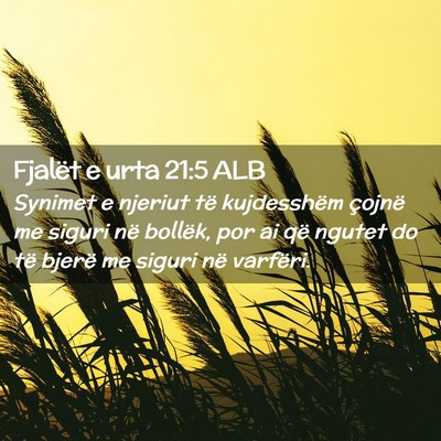 Picture 02 - Fjalët e urta 21:5 ALB - Synimet e njeriut të kujdesshëm çojnë me - Bible Verse Picture