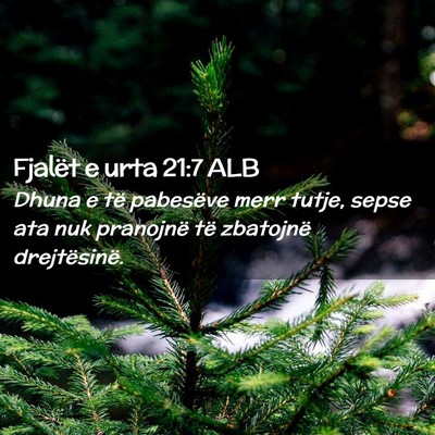 Picture 02 - Fjalët e urta 21:7 ALB - Dhuna e të pabesëve merr tutje, sepse ata nuk - Bible Verse Picture