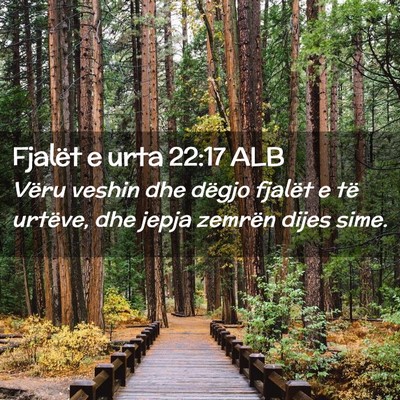 Picture 02 - Fjalët e urta 22:17 ALB - Vëru veshin dhe dëgjo fjalët e të urtëve, - Bible Verse Picture