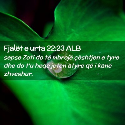 Picture 02 - Fjalët e urta 22:23 ALB - sepse Zoti do të mbrojë çështjen e tyre dhe - Bible Verse Picture