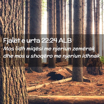 Picture 02 - Fjalët e urta 22:24 ALB - Mos lidh miqësi me njeriun zemërak dhe mos u - Bible Verse Picture