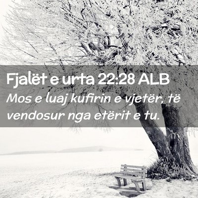 Picture 02 - Fjalët e urta 22:28 ALB - Mos e luaj kufirin e vjetër, të vendosur nga - Bible Verse Picture