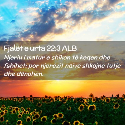 Picture 02 - Fjalët e urta 22:3 ALB - Njeriu i matur e shikon të keqen dhe fshihet; - Bible Verse Picture