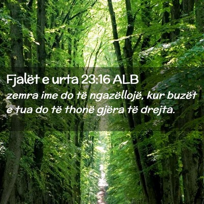 Picture 02 - Fjalët e urta 23:16 ALB - zemra ime do të ngazëllojë, kur buzët e tua - Bible Verse Picture