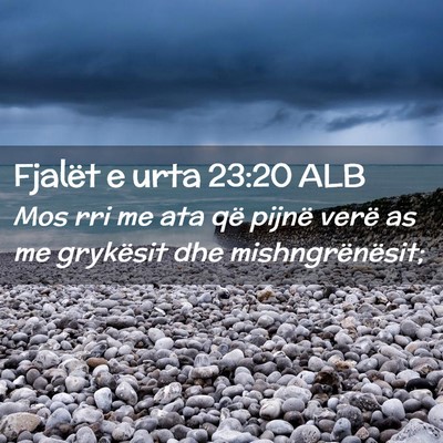 Picture 02 - Fjalët e urta 23:20 ALB - Mos rri me ata që pijnë verë as me grykësit - Bible Verse Picture