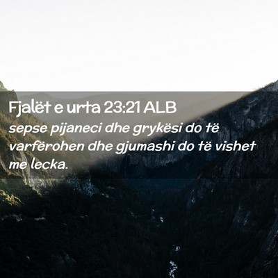 Picture 02 - Fjalët e urta 23:21 ALB - sepse pijaneci dhe grykësi do të varfërohen - Bible Verse Picture