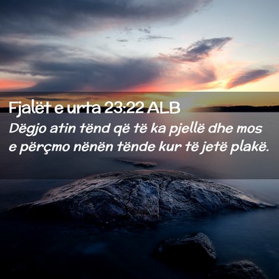 Picture 02 - Fjalët e urta 23:22 ALB - Dëgjo atin tënd që të ka pjellë dhe mos e - Bible Verse Picture