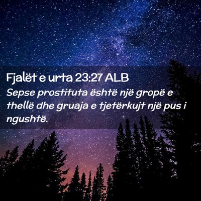 Picture 02 - Fjalët e urta 23:27 ALB - Sepse prostituta është një gropë e thellë - Bible Verse Picture