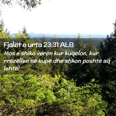 Picture 02 - Fjalët e urta 23:31 ALB - Mos e shiko verën kur kuqëlon, kur rrëzëllen - Bible Verse Picture