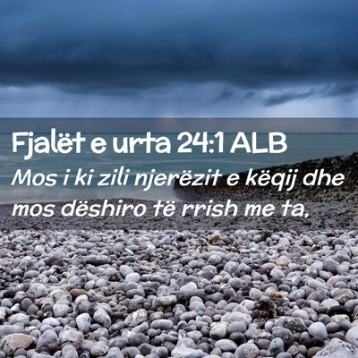 Picture 02 - Fjalët e urta 24:1 ALB - Mos i ki zili njerëzit e këqij dhe mos dëshiro - Bible Verse Picture