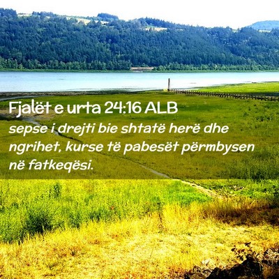 Picture 02 - Fjalët e urta 24:16 ALB - sepse i drejti bie shtatë herë dhe ngrihet, - Bible Verse Picture