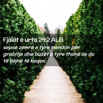 Picture 02 - Fjalët e urta 24:2 ALB - sepse zemra e tyre mendon për grabitje dhe - Bible Verse Picture