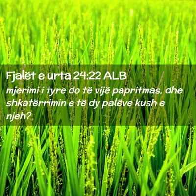 Picture 02 - Fjalët e urta 24:22 ALB - mjerimi i tyre do të vijë papritmas, dhe - Bible Verse Picture